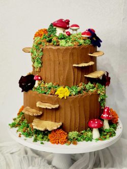 custom made party cakes, mckinney tx