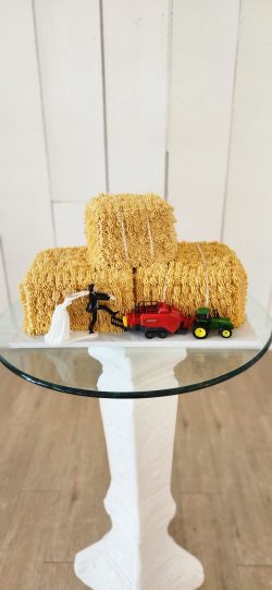 custom groom's cakes, wedding cakes, bakery mckinney tx