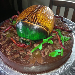 custom groom's cakes, wedding cake bakery mckinney tx