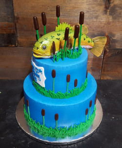 custom made party cakes, mckinney tx