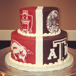 custom made party cakes, mckinney tx