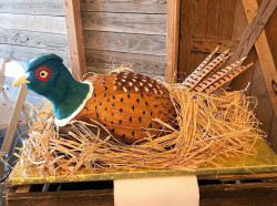 custom made party cakes, mckinney tx