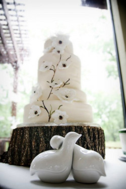 custom wedding cakes, bride's cakes, bakery mckinney tx, dallas tx