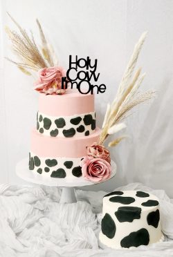 custom made kids cakes, birthday cakes, dallas bakery, mckinney tx