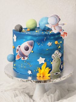 custom made kids cakes, birthday cakes, dallas bakery, mckinney tx