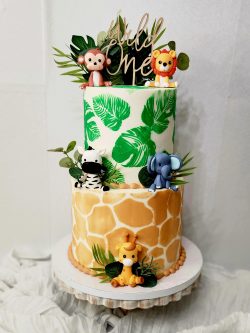 custom made kids cakes, birthday cakes, dallas bakery, mckinney tx