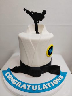 custom made kids cakes, birthday cakes, dallas bakery, mckinney tx