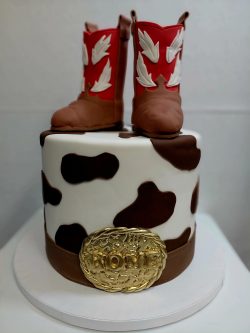 custom made kids cakes, birthday cakes, dallas bakery, mckinney tx