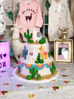custom baby shower cakes, bakery mckinney tx