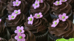 custom cupcakes, bakery mckinney tx