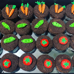 custom cupcakes, bakery mckinney tx