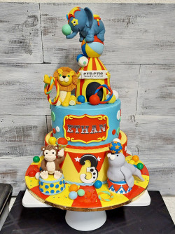 custom made kids cakes, birthday cakes, dallas bakery, mckinney tx