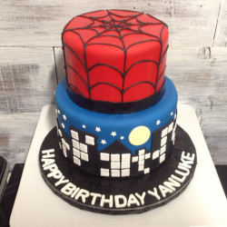 custom made kids cakes, birthday cakes, dallas bakery, mckinney tx