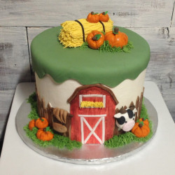 custom made kids cakes, birthday cakes, dallas bakery, mckinney tx