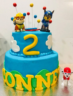 custom made kids cakes, birthday cakes, dallas bakery, mckinney tx