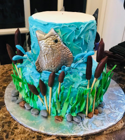 custom made kids cakes, birthday cakes, dallas bakery, mckinney tx