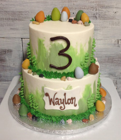 custom made kids cakes, birthday cakes, dallas bakery, mckinney tx