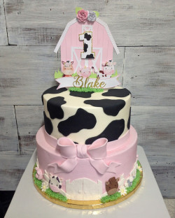 custom made kids cakes, birthday cakes, dallas bakery, mckinney tx