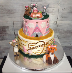 custom made kids cakes, birthday cakes, dallas bakery, mckinney tx