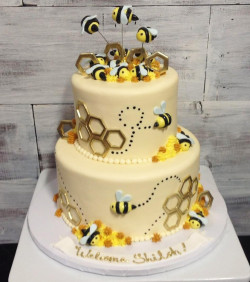 custom made kids cakes, birthday cakes, dallas bakery, mckinney tx