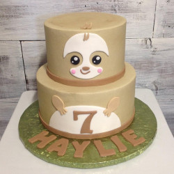 custom made kids cakes, birthday cakes, dallas bakery, mckinney tx