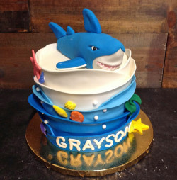 custom made kids cakes, birthday cakes, dallas bakery, mckinney tx