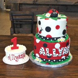 custom made kids cakes, birthday cakes, dallas bakery, mckinney tx