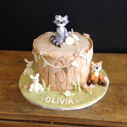 custom made kids cakes, birthday cakes, dallas bakery, mckinney tx