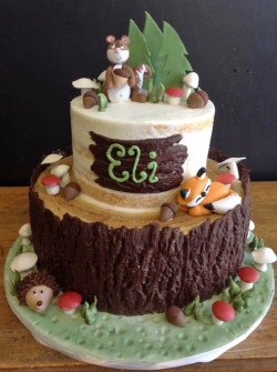 custom made kids cakes, birthday cakes, dallas bakery, mckinney tx