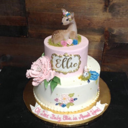 custom made kids cakes, birthday cakes, dallas bakery, mckinney tx
