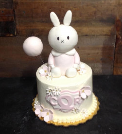 custom made kids cakes, birthday cakes, dallas bakery, mckinney tx