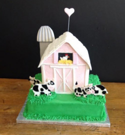 custom made kids cakes, birthday cakes, dallas bakery, mckinney tx